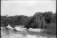 PFB-000308_Baja