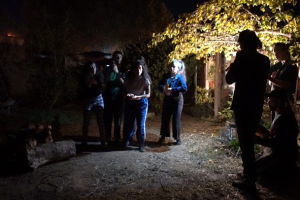 ensayo_still2